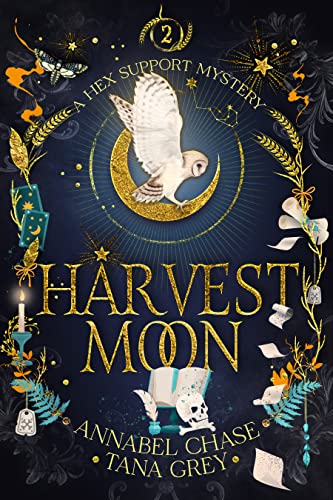 Hex Support Mystery book cover 2