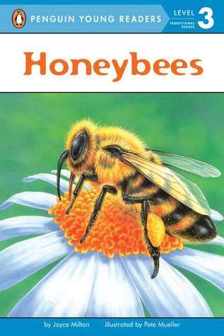 Honeybees book cover