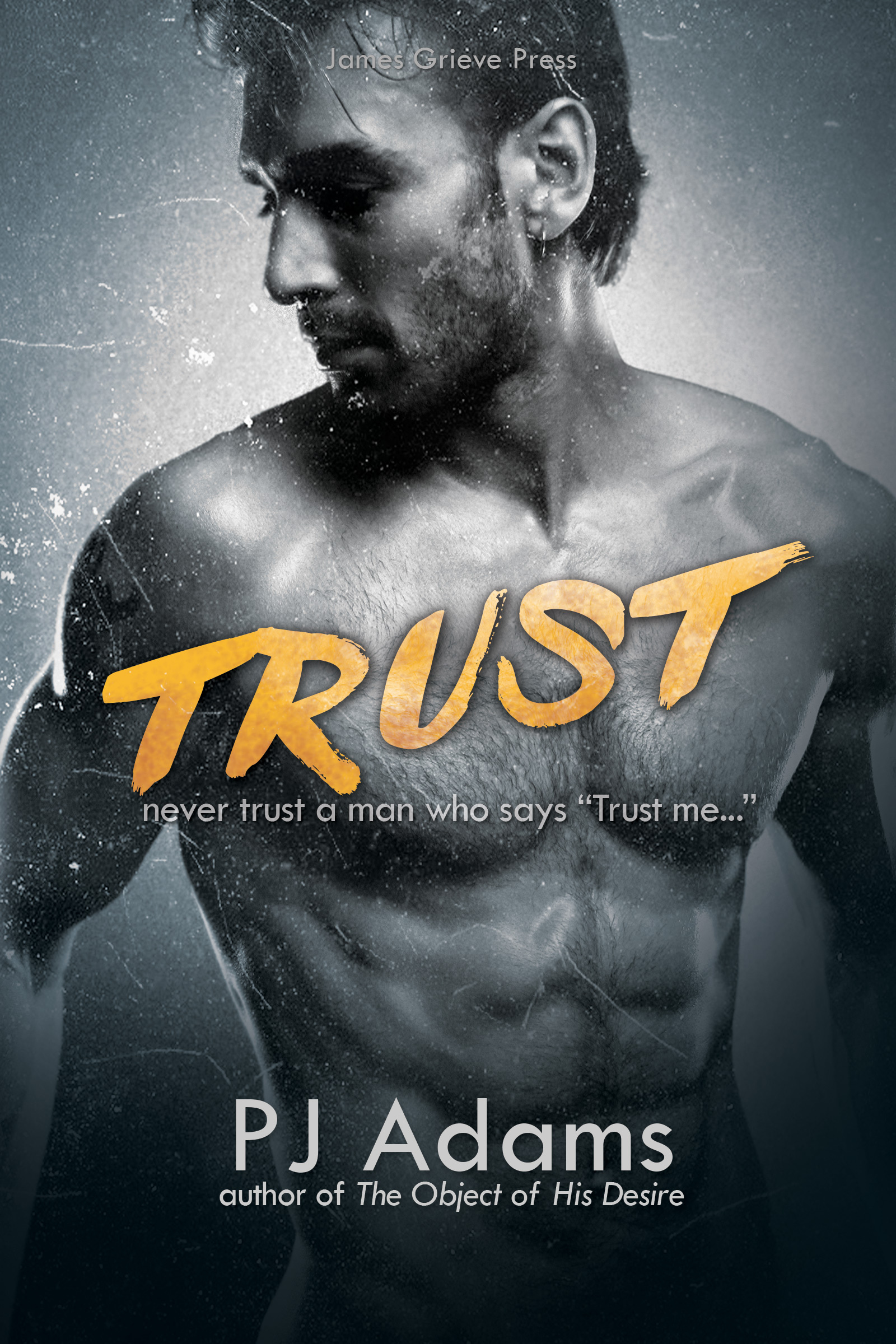 The Bailey Boys book cover 1