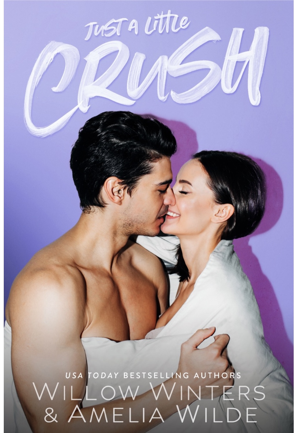 Just a Little Crush book cover