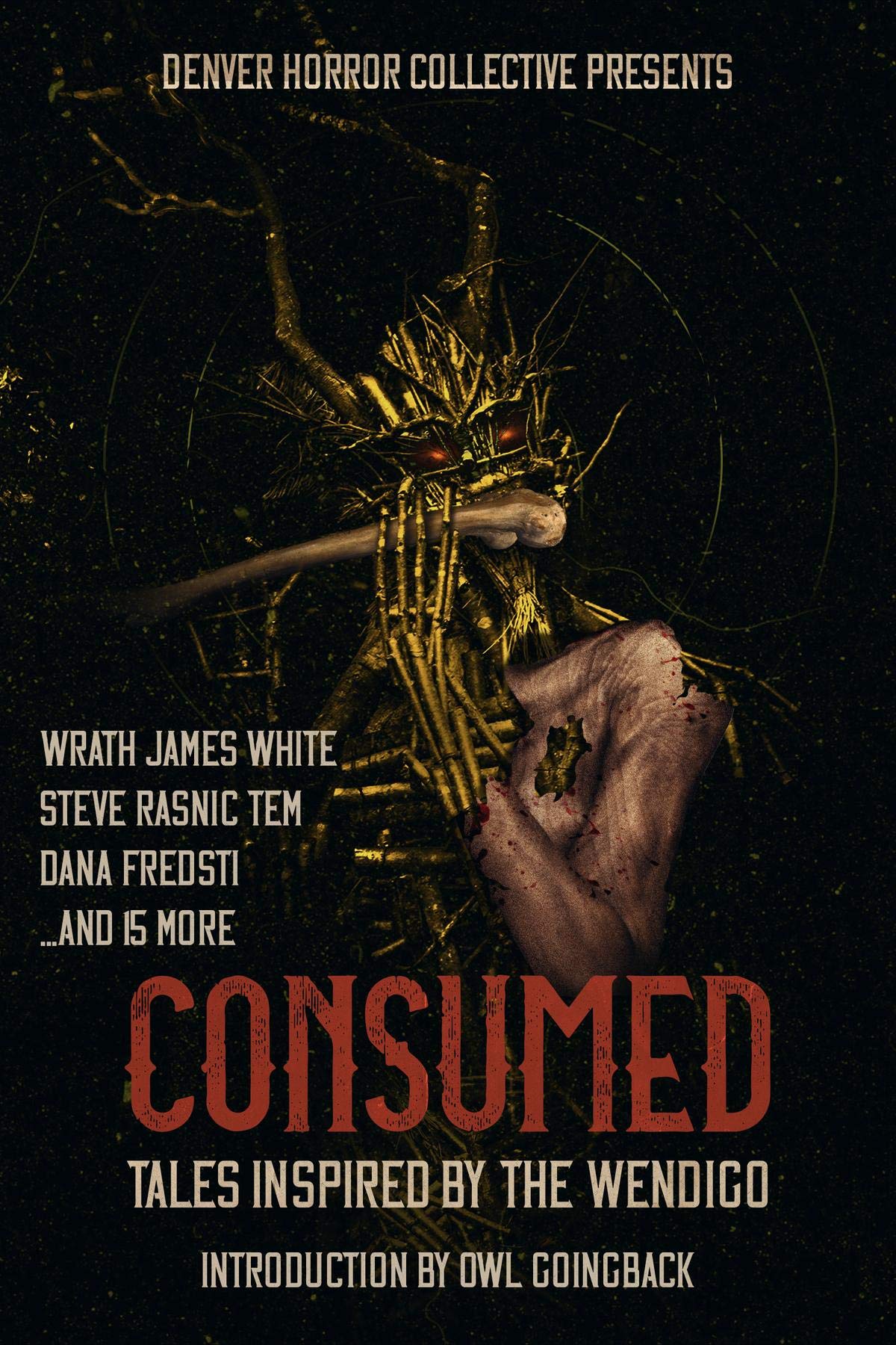 Consumed book cover