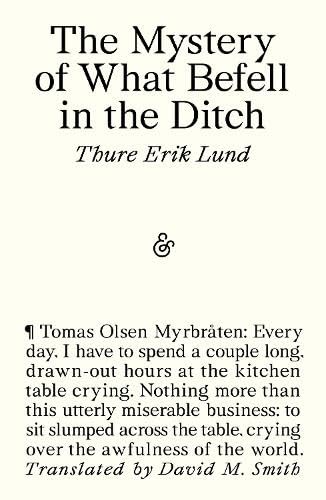 The Mystery of What Befell in the Ditch book cover