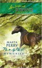 Lowcountry book cover 2