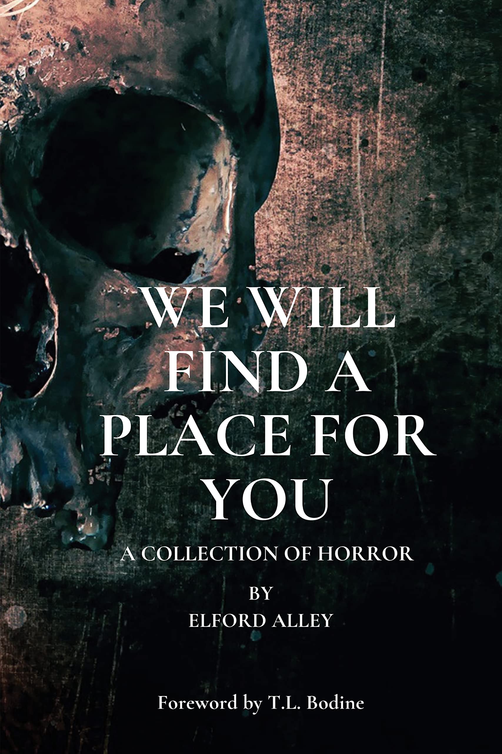 We Will Find A Place For You book cover