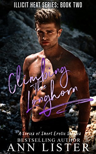 Illicit Heat book cover 2