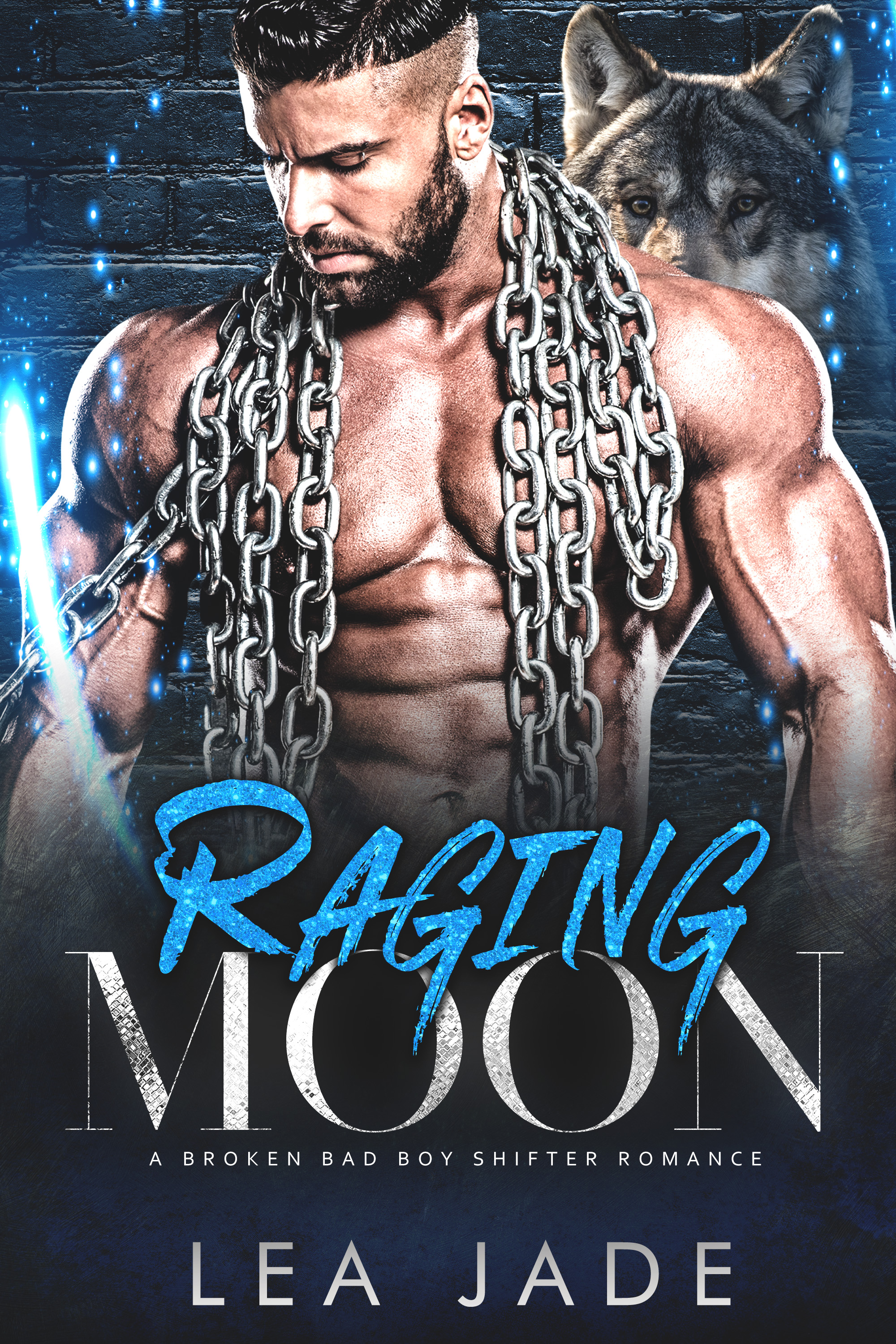 Broken Bad Boy Shifter book cover 1