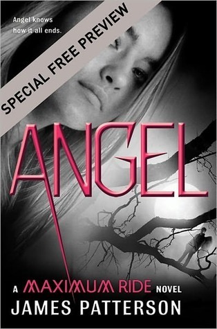 Angel - Free Preview book cover