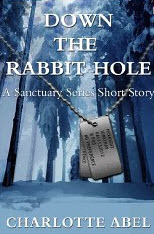 Down the Rabbit Hole book cover