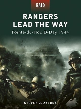 Raid book cover 1