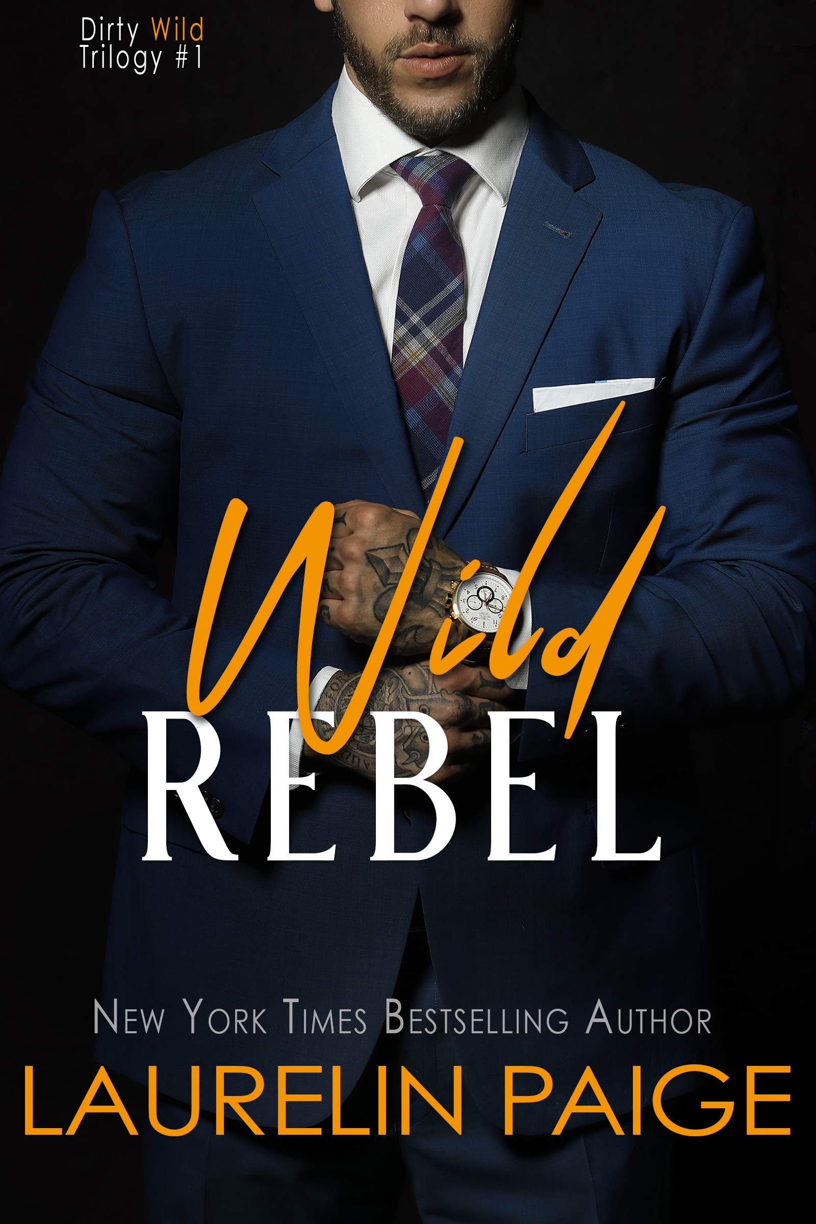 Dirty Wild book cover 1