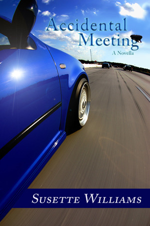 Accidental Meeting book cover