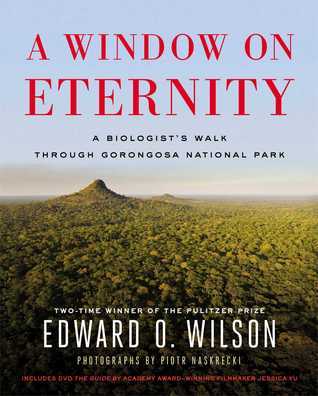 A Window on Eternity book cover