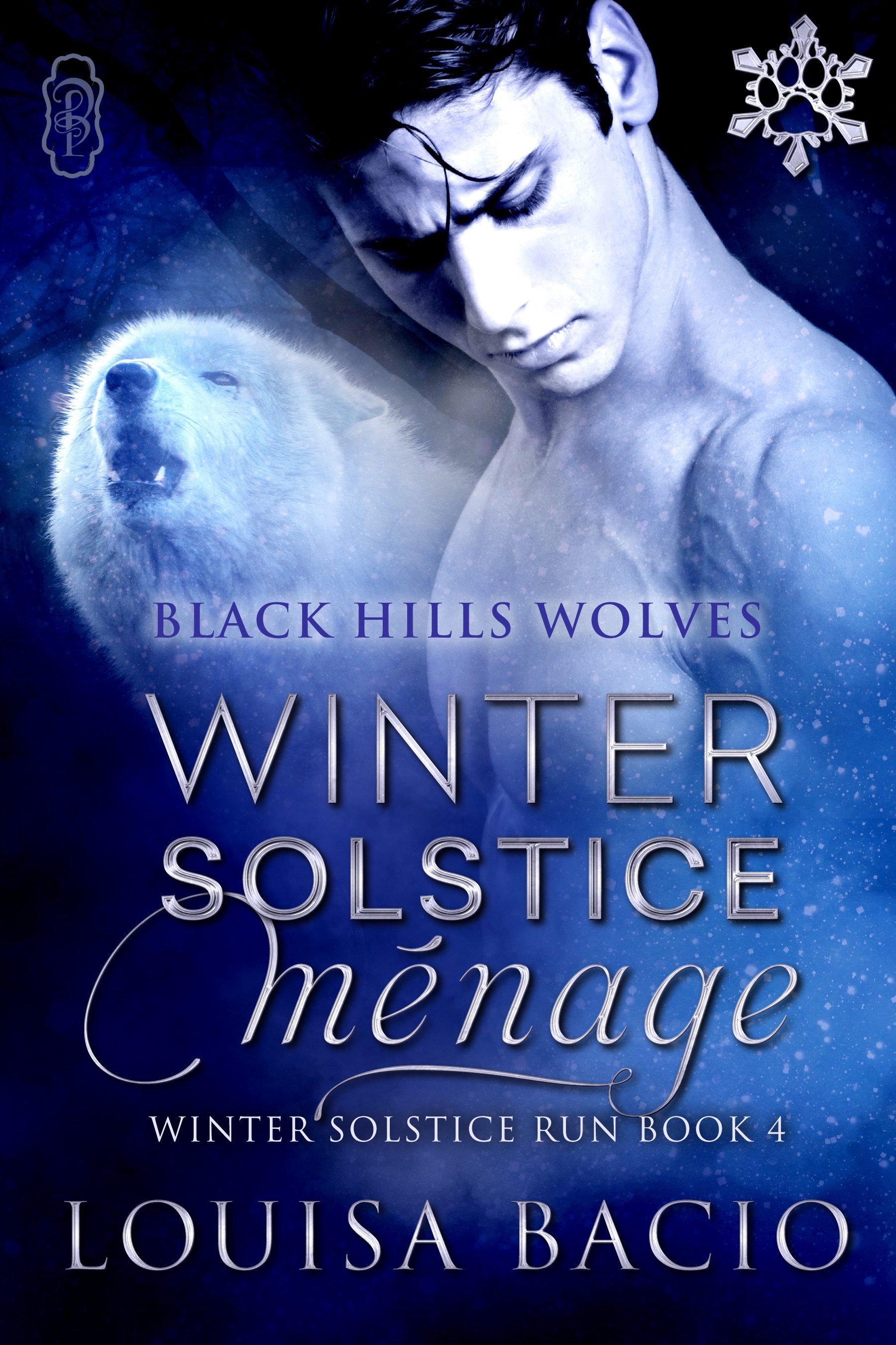 Winter Solstice Menage book cover
