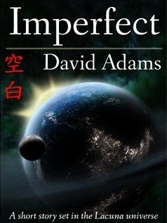 Imperfect book cover