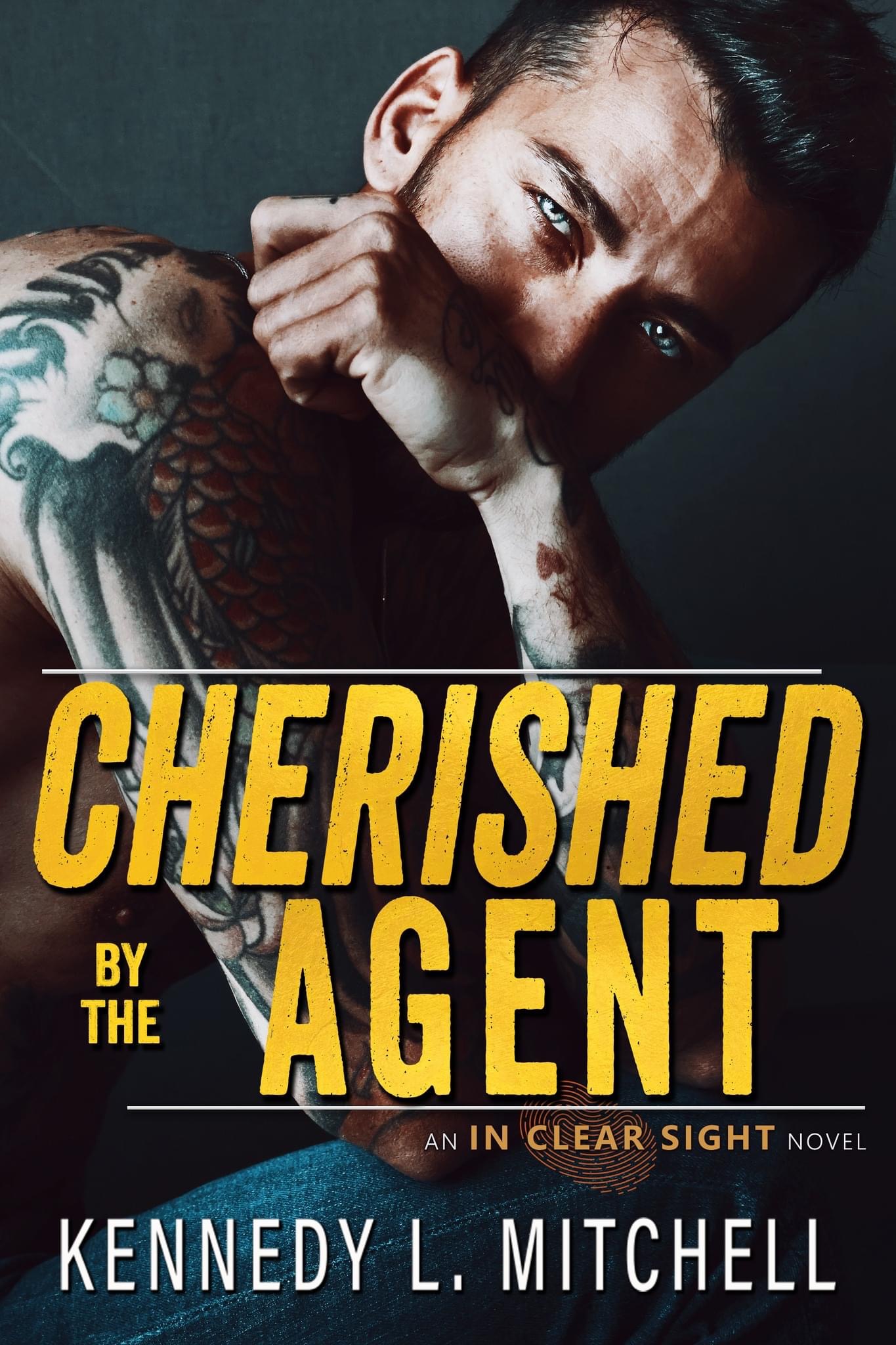 In Clear Sight book cover 2