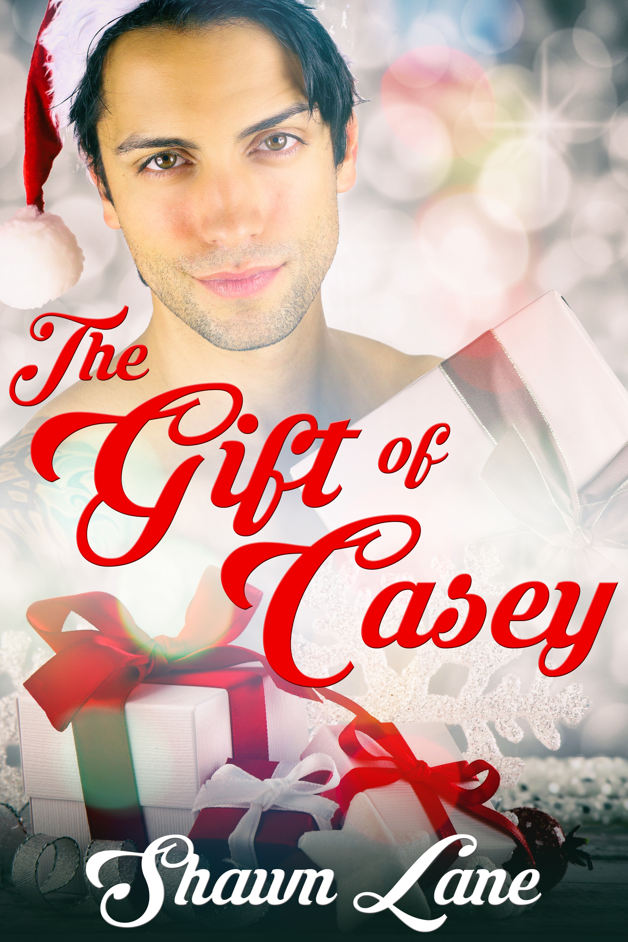 The Gift of Casey book cover