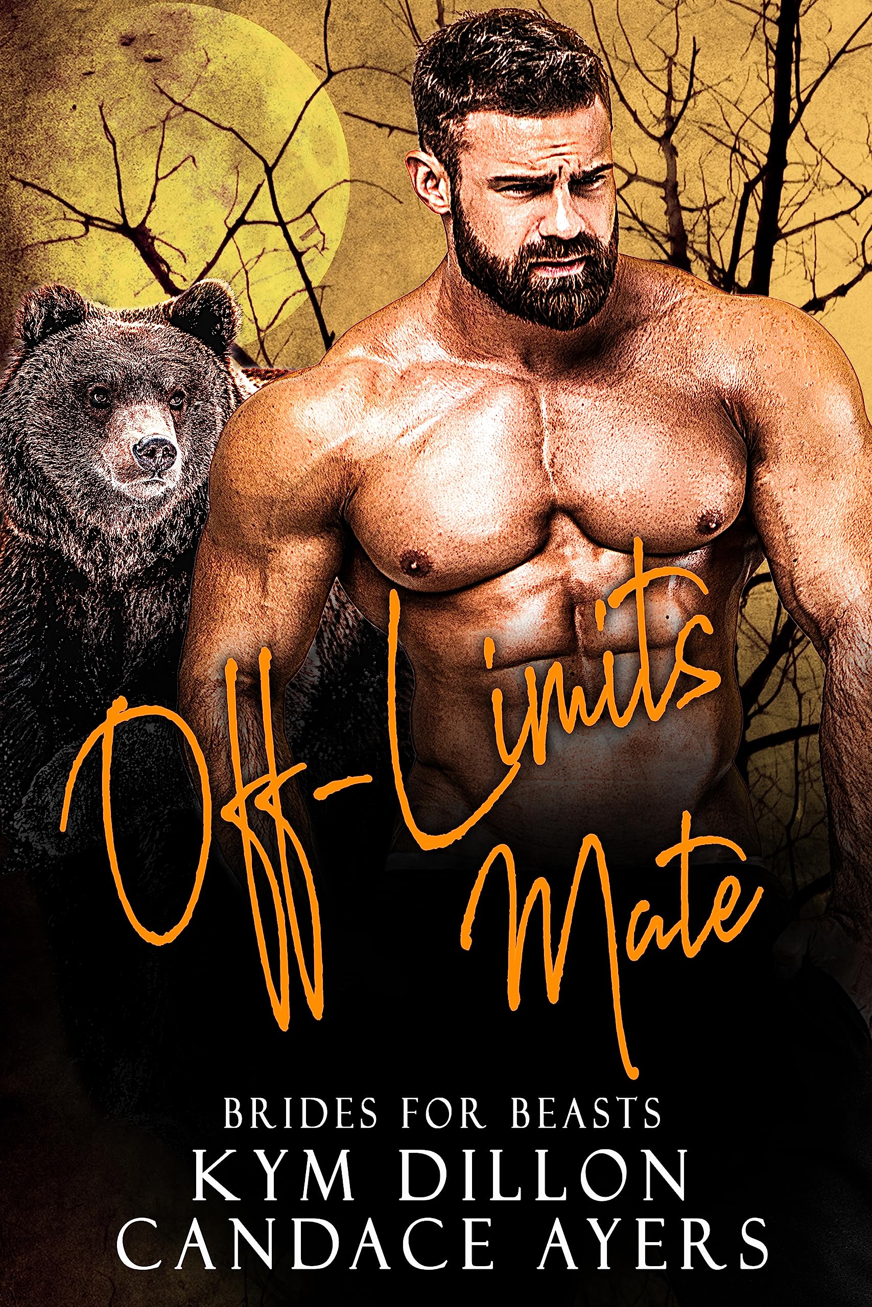 Off-Limits Mate book cover