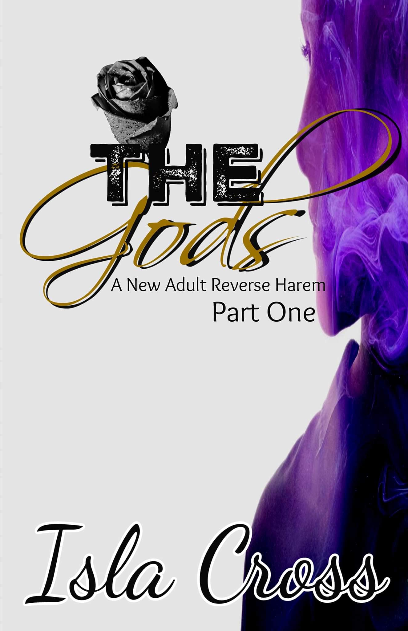 The Gods book cover
