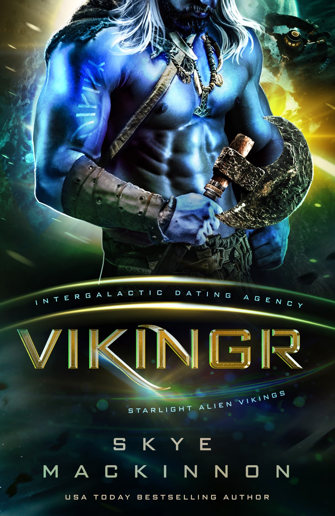 Starlight Vikings book cover 1