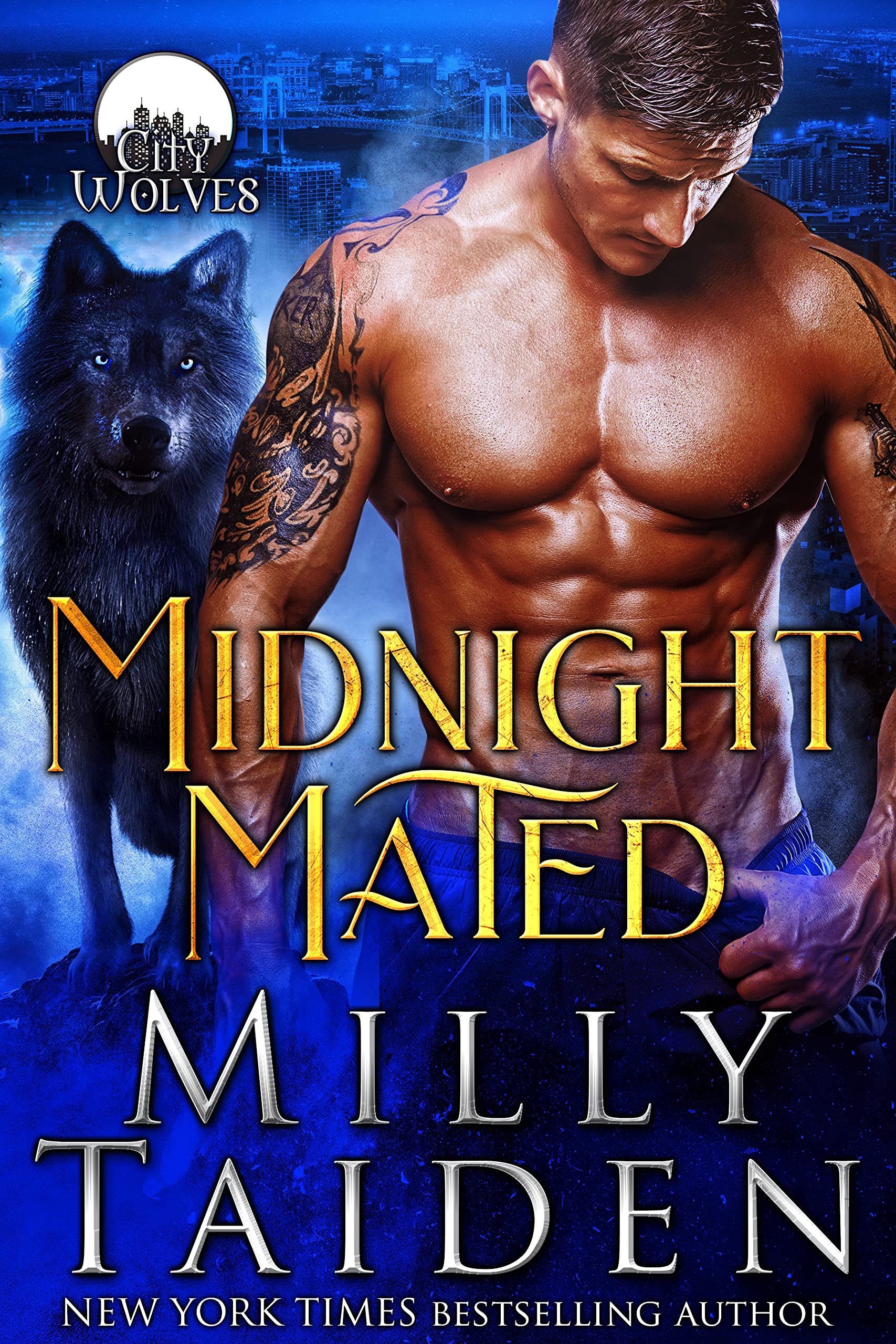 City Wolves book cover 3