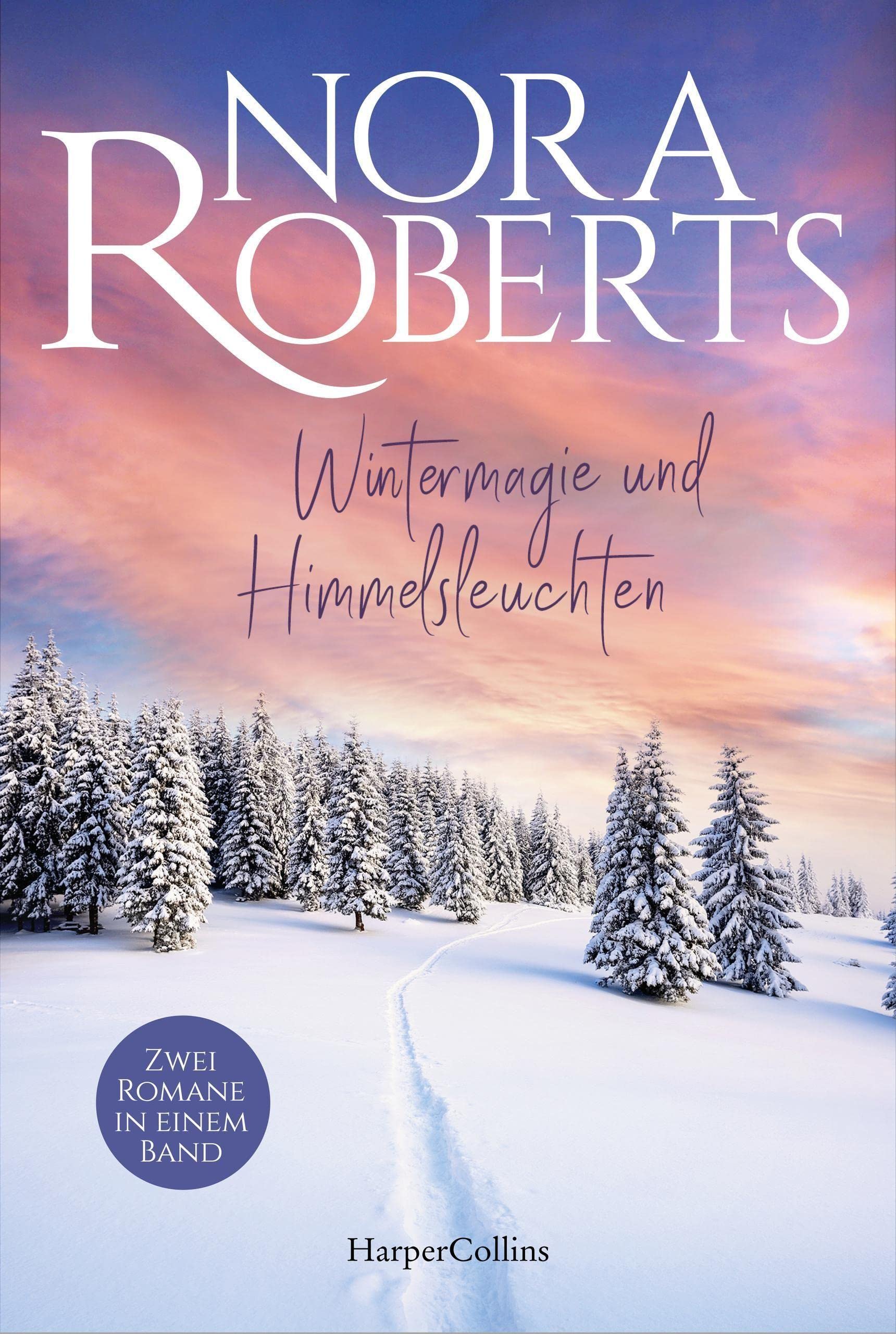 Wintermagie und Himmelsleuchten book cover