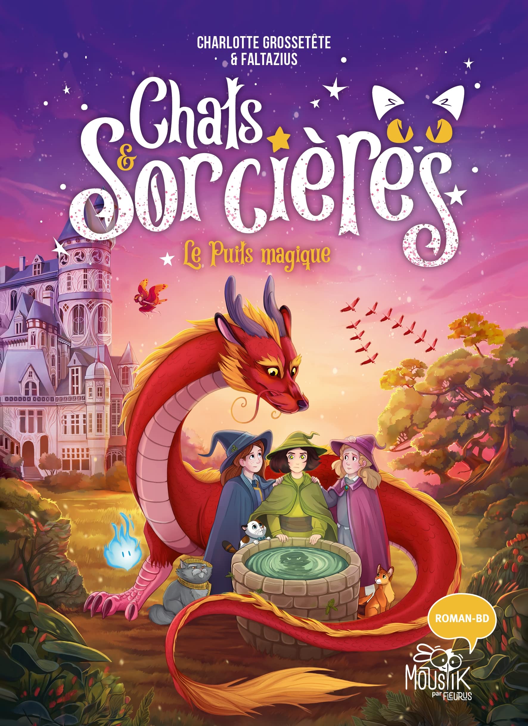 Chats & sorcières book cover 3