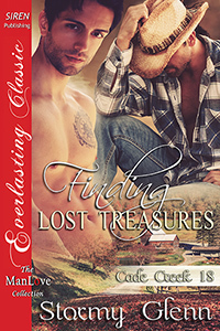 Finding Lost Treasures book cover