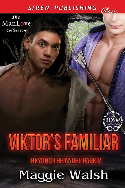 Beyond the Angel Pack book cover 2