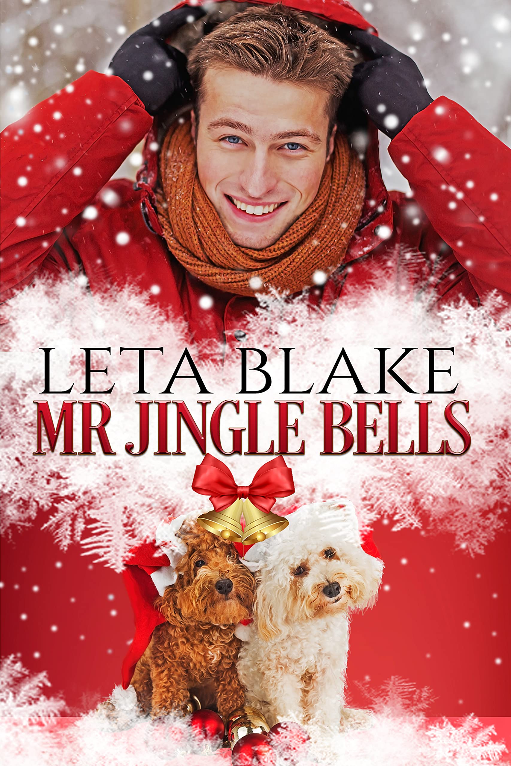 Mr. Jingle Bells book cover