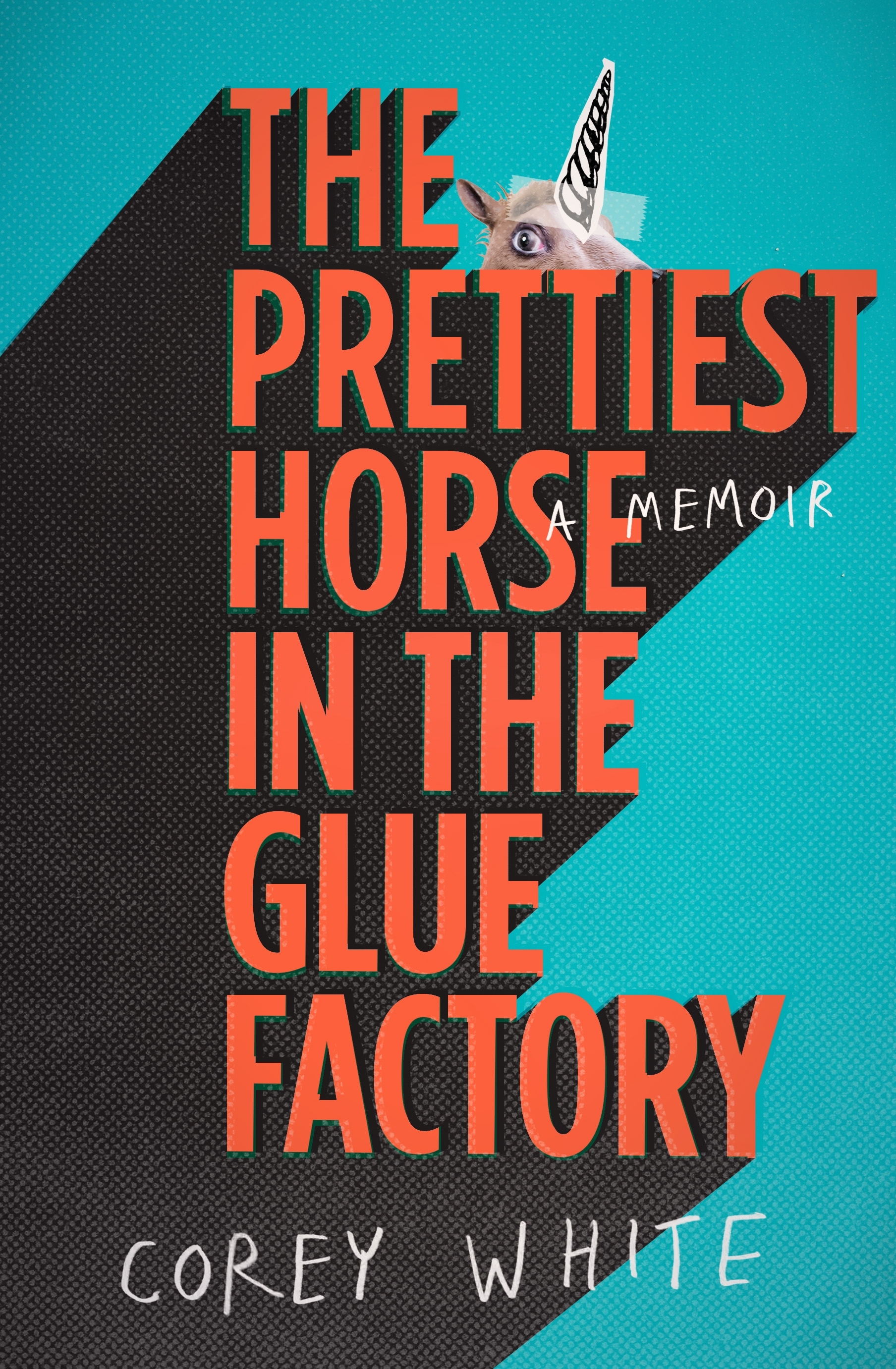 The Prettiest Horse in the Glue Factory book cover