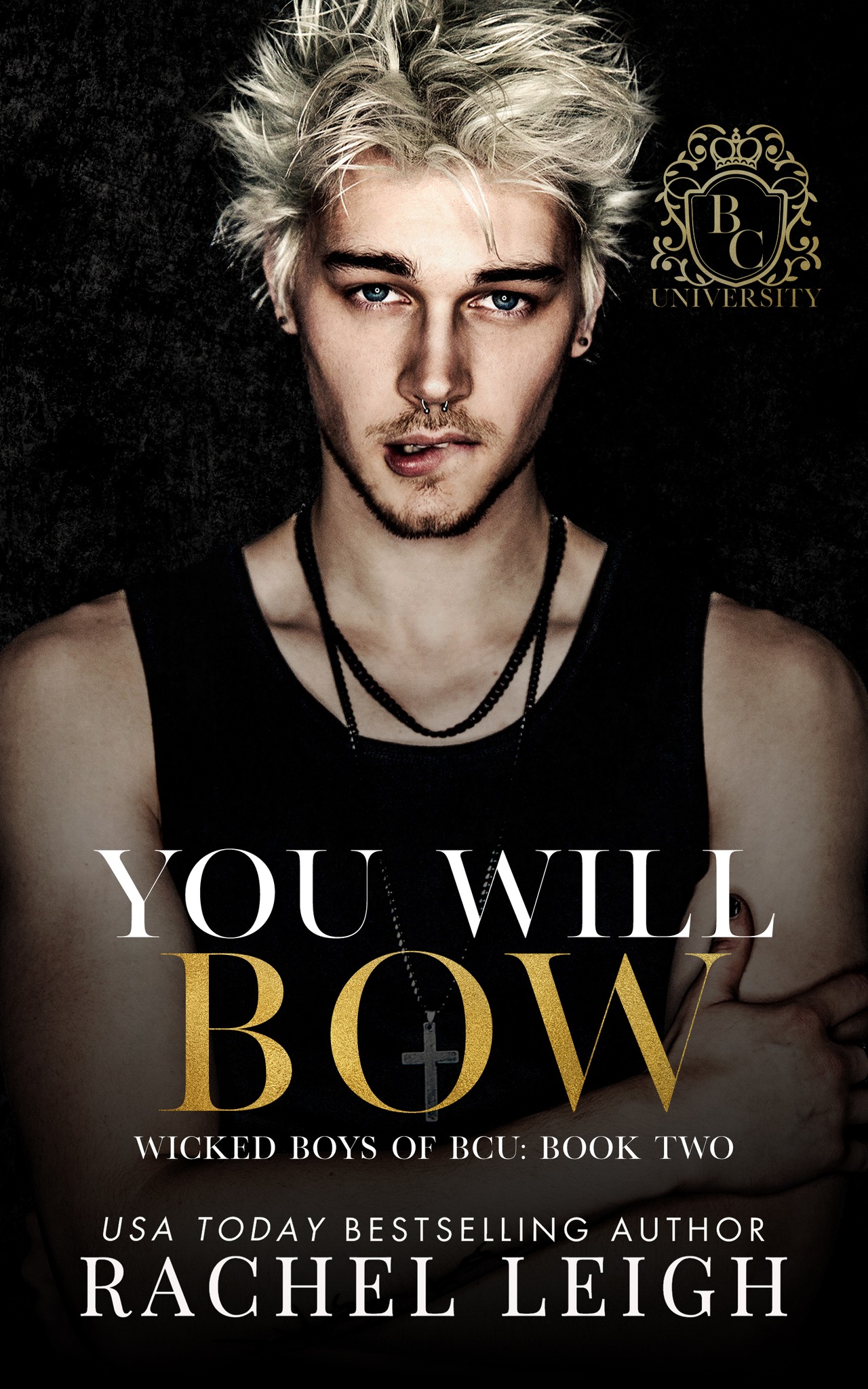 Wicked Boys of BCU book cover 2