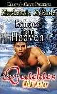 Echoes from Heaven book cover