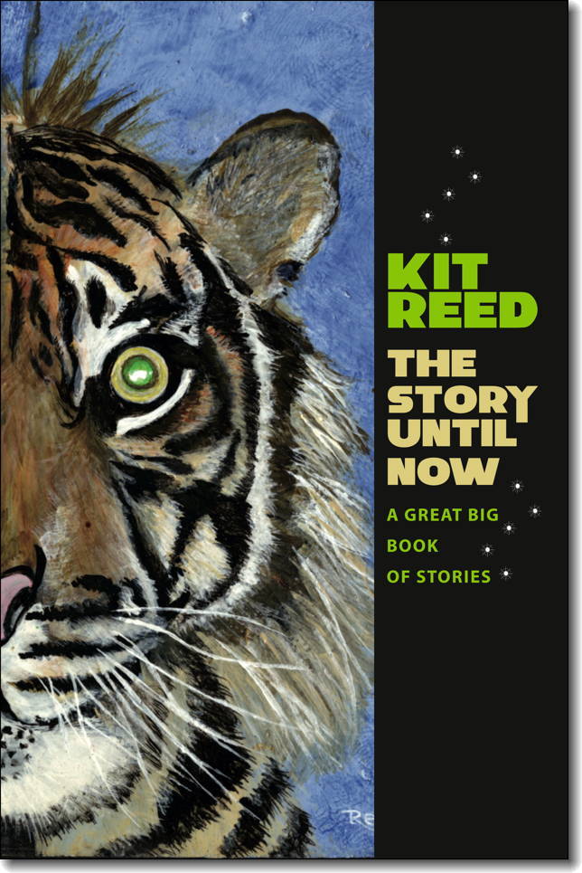 The Story Until Now book cover