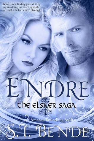 The Elsker Saga book cover 2