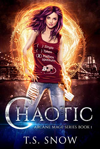 Arcane Mage book cover 1