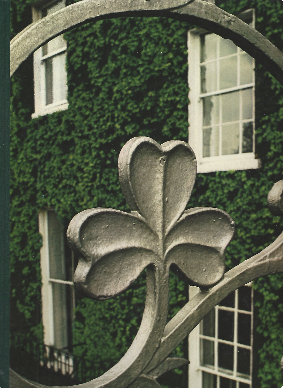 Dublin book cover