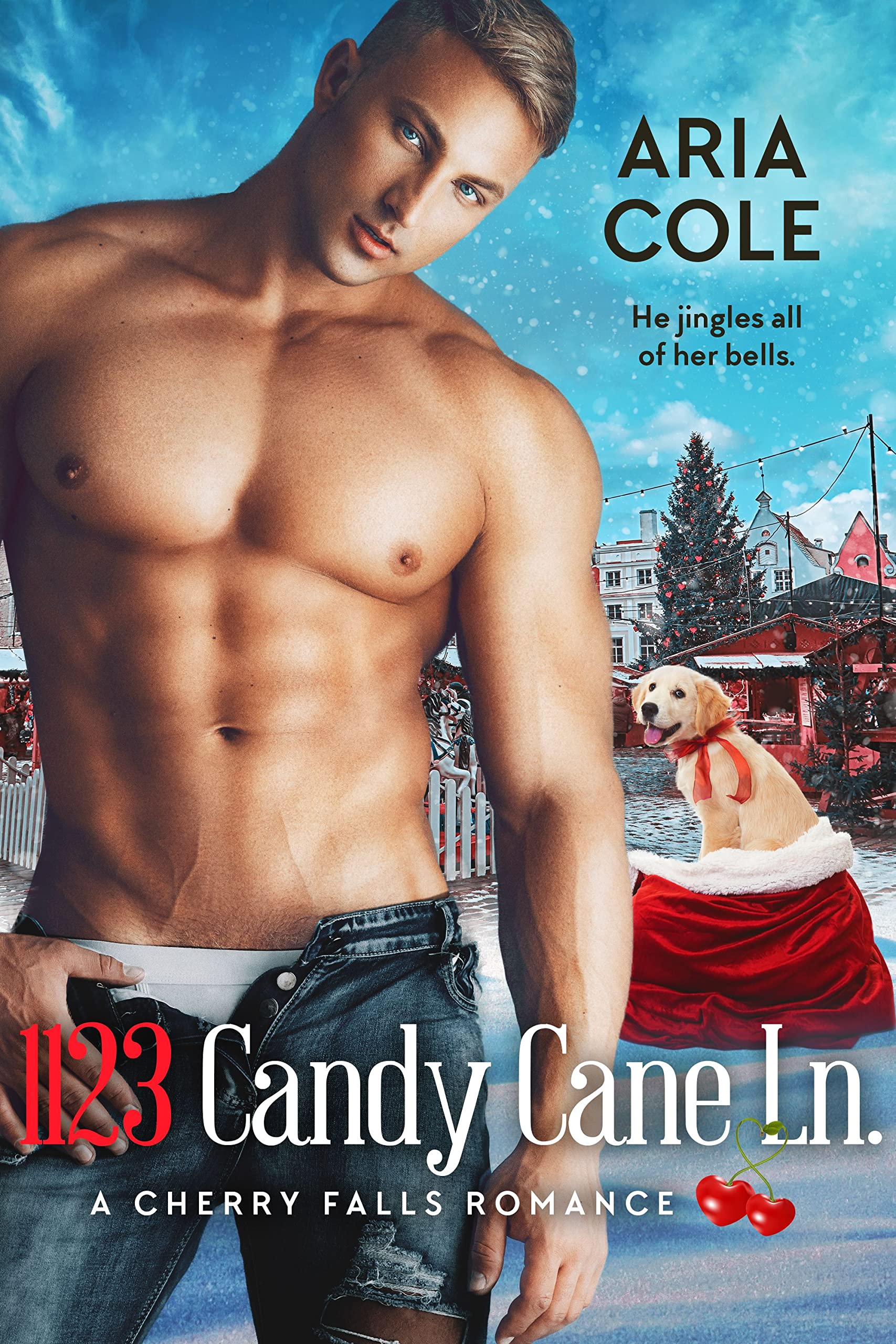 1123 Candy Cane Lane book cover