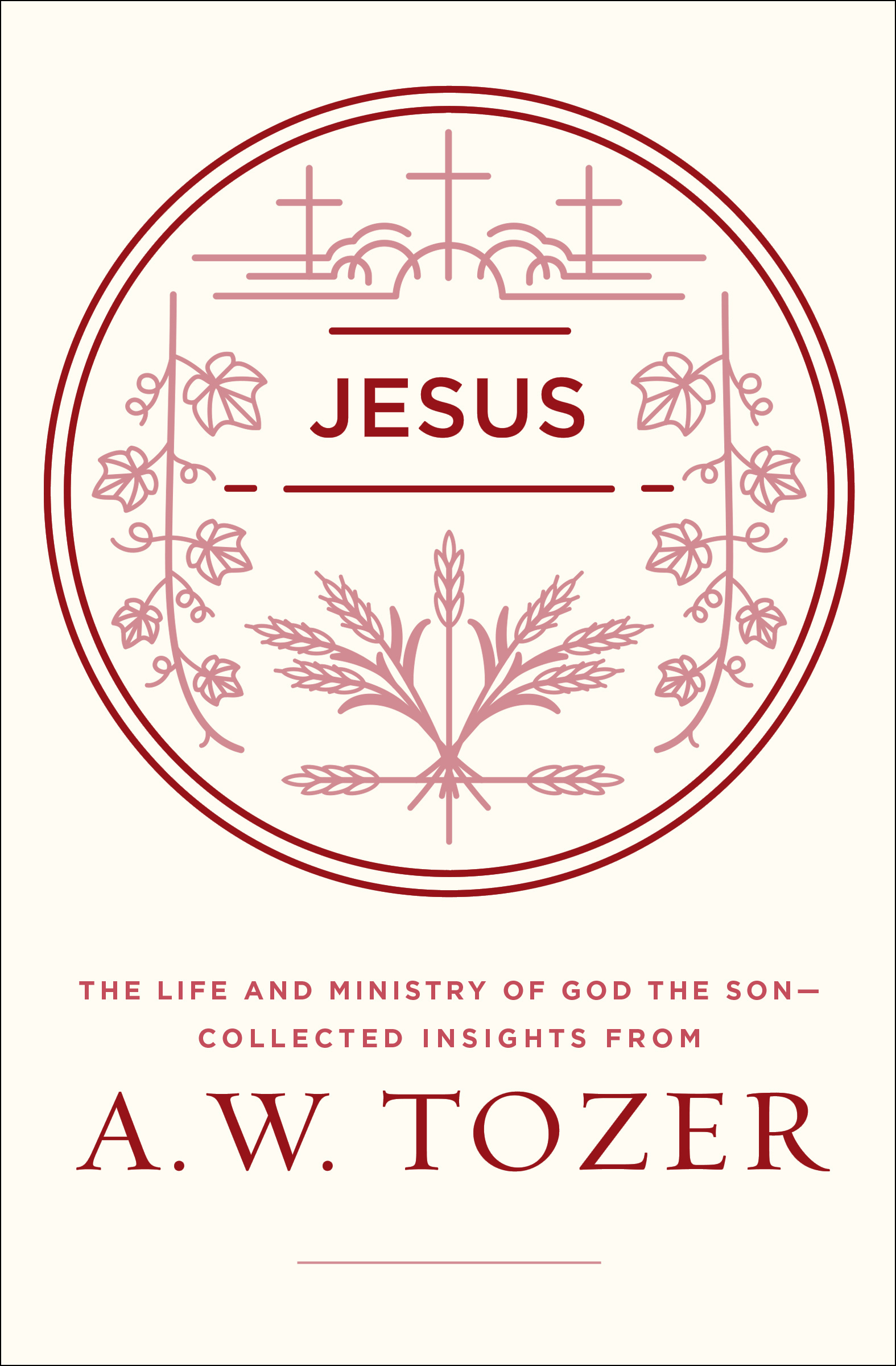 Jesus book cover