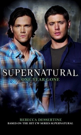 One Year Gone book cover