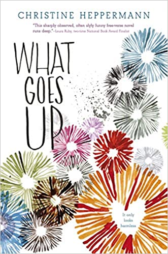What Goes Up book cover