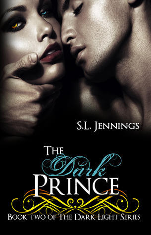 Dark Light book cover 2
