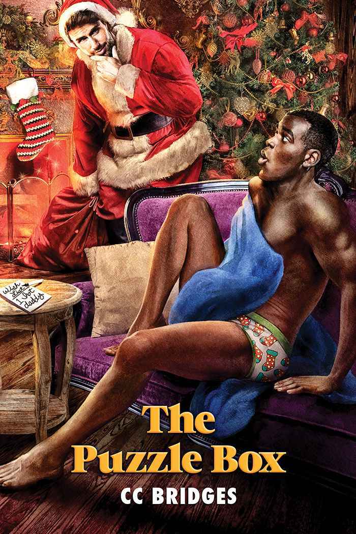 The Puzzle Box book cover