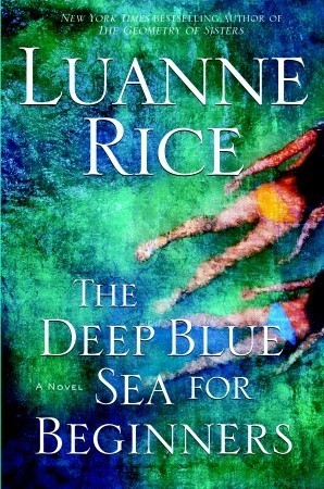 Newport, Rhode Island book cover 2