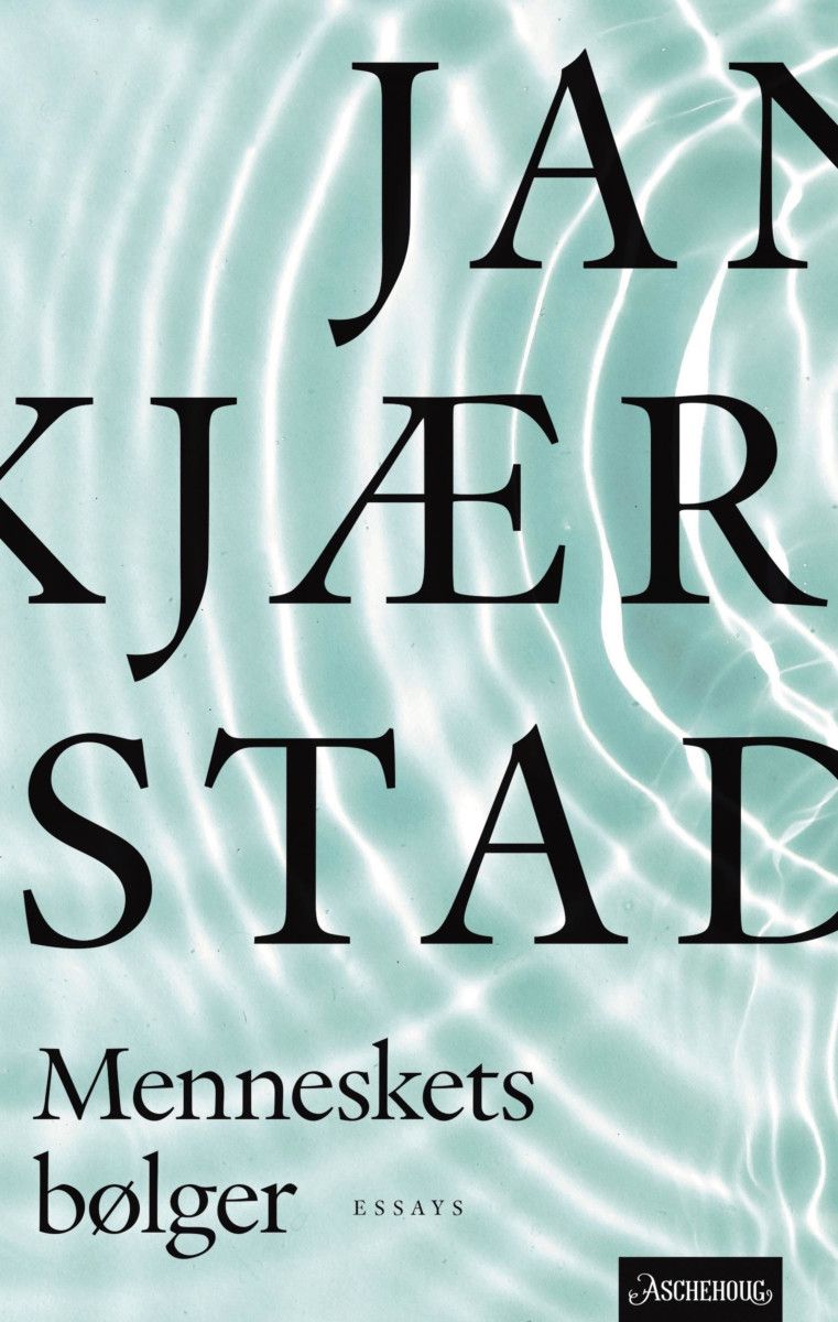 Menneskets bølger book cover