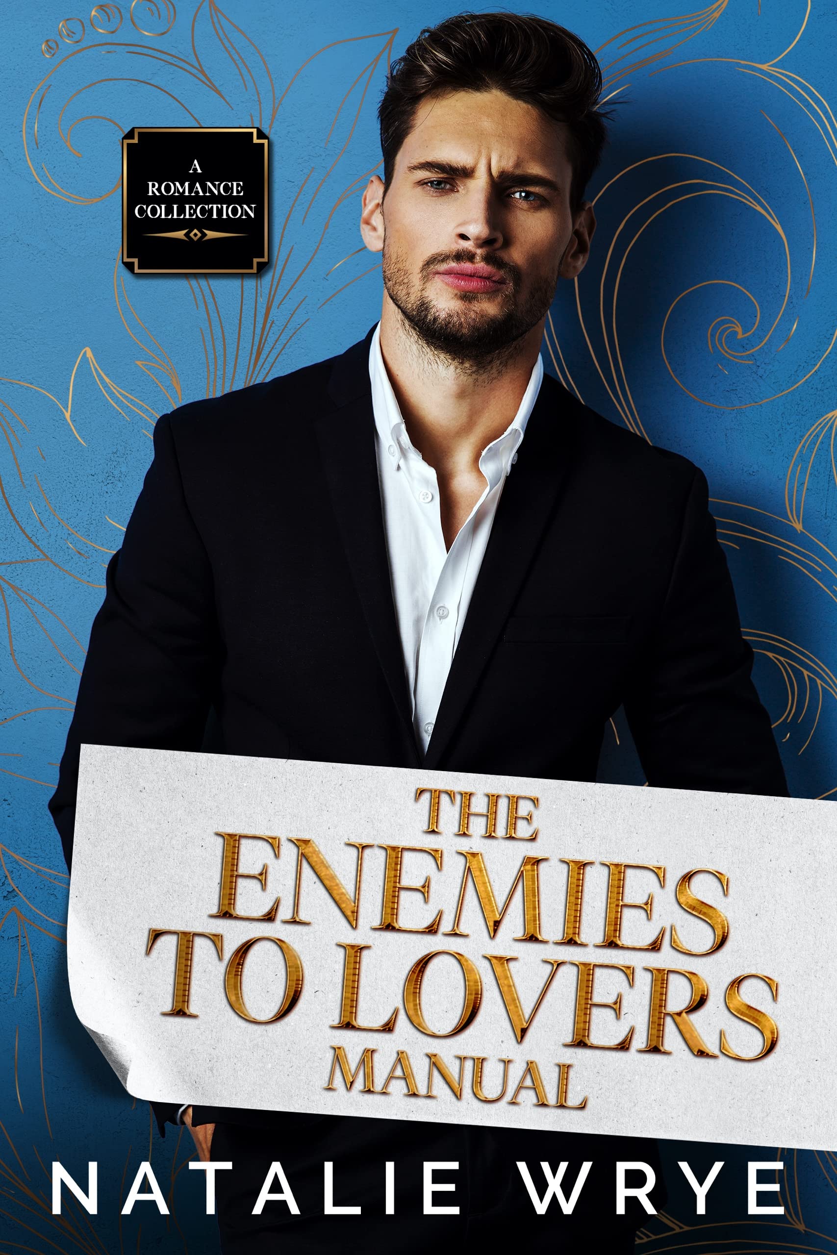 The Enemies to Lovers Manual book cover