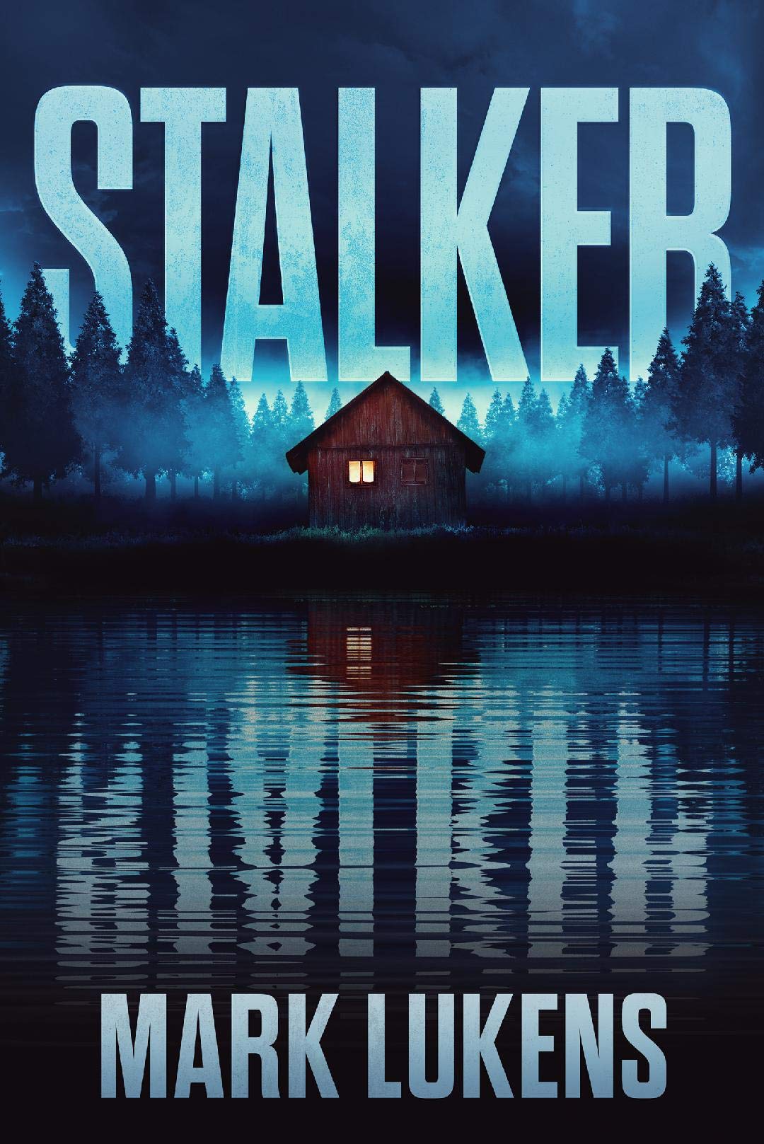 Stalker book cover