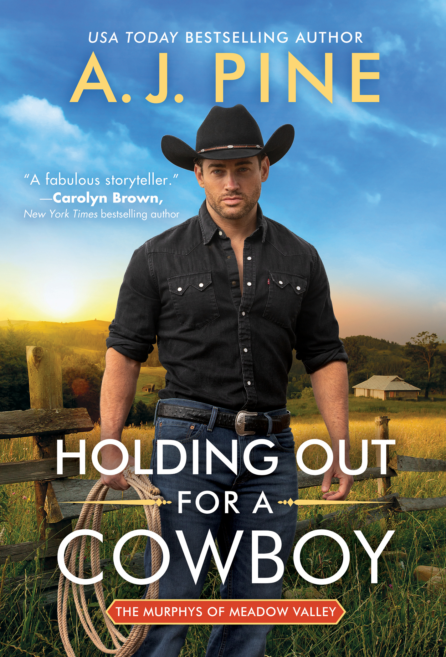 The Murphys of Meadow Valley book cover 1