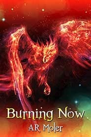 Burning Now book cover