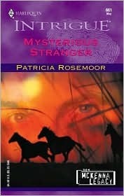Mysterious Stranger book cover