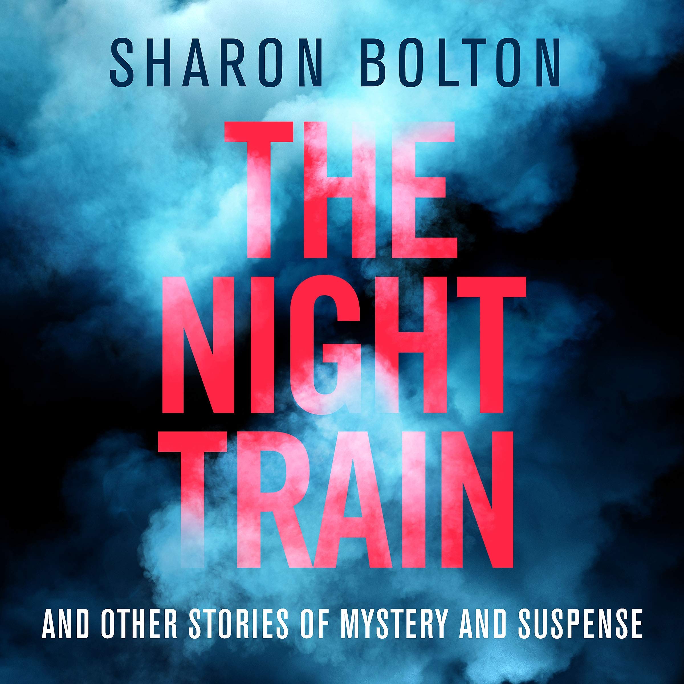 The Night Train book cover
